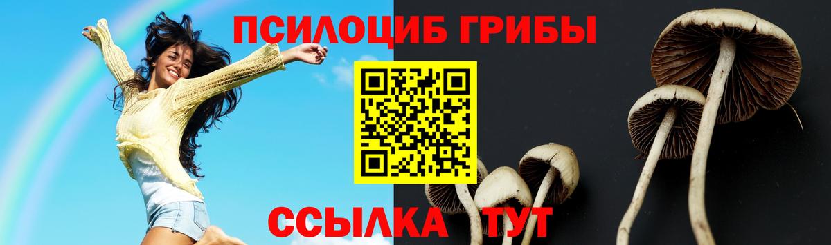 Звенигород  Галлюциногенные грибы прущие грибы  Вход с VPN 